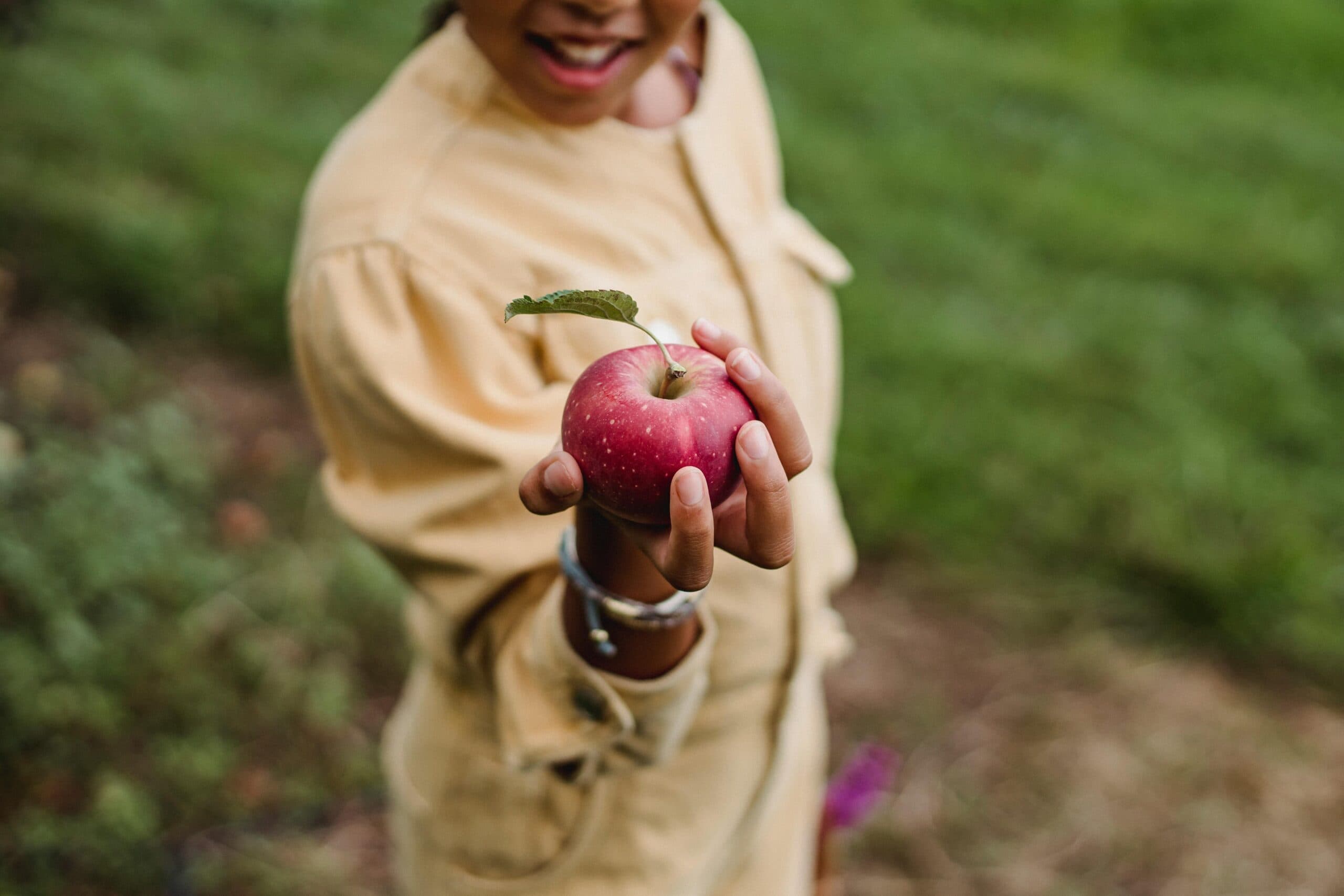 summer nutrition programs
